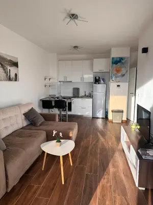 a living room with a couch and a table at Apartmani Beba in Bar