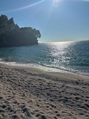 a beach with footprints in the sand and the water at Sea view in Petrovac na Moru