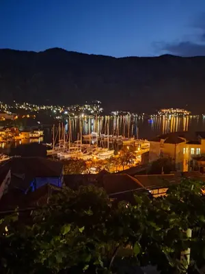 a view of a marina at night at Panoramic view ! Rooftop garden - Old Town studio in Kotor