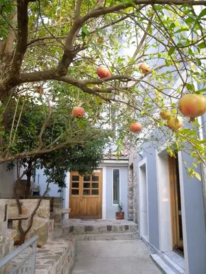 an orange tree in front of a house at Apartments Markovic Sutomore in Sutomore