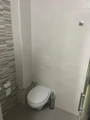 a white bathroom with a toilet and a shower at Apartment D&A in Ulcinj