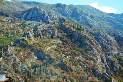 a view of a mountain with trees on it at BMB Apartments Kotor in Kotor