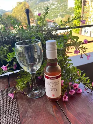 a bottle of cough syrup next to a wine glass at Apartment Stari Konak in Virpazar