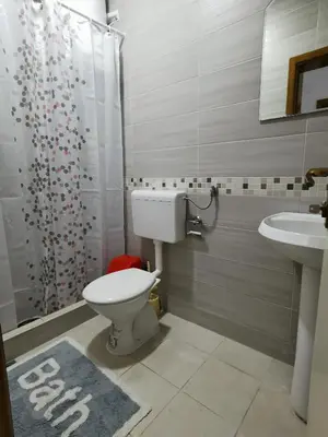 a bathroom with a toilet and a sink at Stan Daria in Sutomore