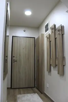 a bathroom with a wooden door in a room at Moraca River Residence in Podgorica