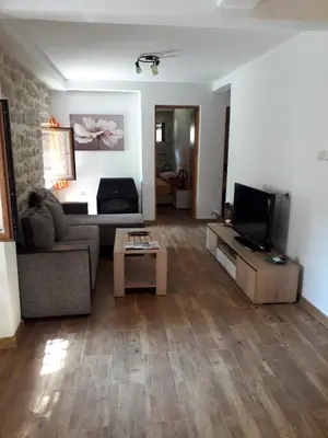 a living room with a couch and a tv at Apartments Ana in Kotor