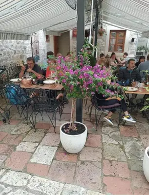 a plant in a white pot on a patio at lifekotor in Kotor