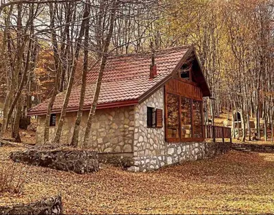 a small house in the middle of the woods at Montenegro Rustic House I in Bjeloši