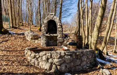 a stone oven in the middle of a forest at Montenegro Rustic House I in Bjeloši