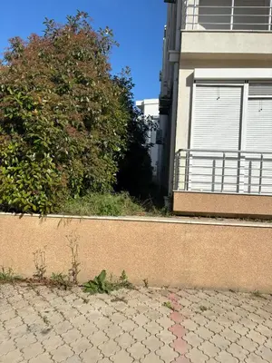 a brick wall next to a building with a tree at Guest apartment Mina in Ulcinj