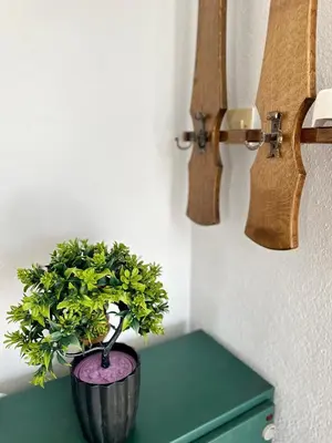 a plant in a pot on a green table at Apartments Tijana in Tivat