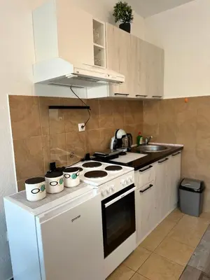 a kitchen with a white stove top oven next to a sink at Apartments Tijana in Tivat