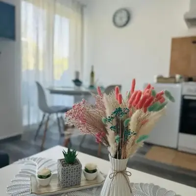 Apartments Tijana
