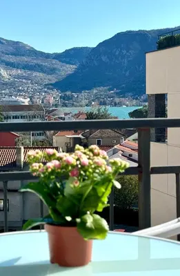 a potted plant sitting on a table on a balcony at Spacious two bedroom apartment with free parking in Dobrota
