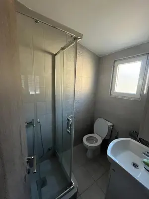 a bathroom with a shower and a toilet and a sink at Apartmani Dasic in Sutomore