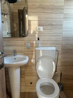 a bathroom with a white toilet and a sink at Apartmani Dasic in Sutomore