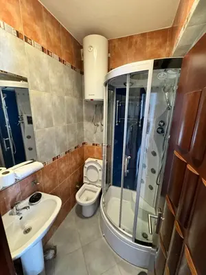 a bathroom with a shower and a toilet and a sink at Apartment Petar in Petrovac na Moru