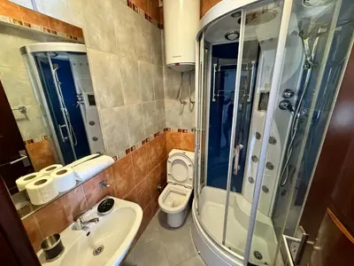 a bathroom with a shower and a sink and a toilet at Apartment Petar in Petrovac na Moru