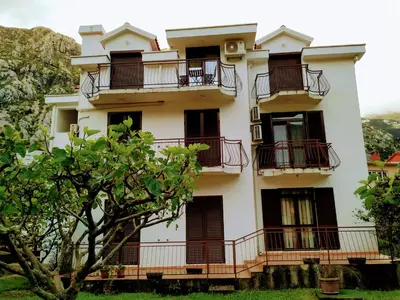 a white building with balconies and a tree at Rooms & Apartments Vukasović in Kotor