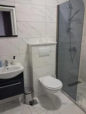 a bathroom with a toilet and a shower and a sink at Apartmani Bosfor in Dobra Voda