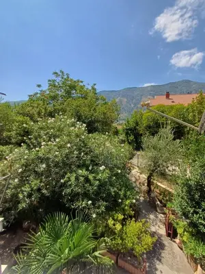 a garden with a lot of trees and flowers at Pampas Family Apartment in Dobrota