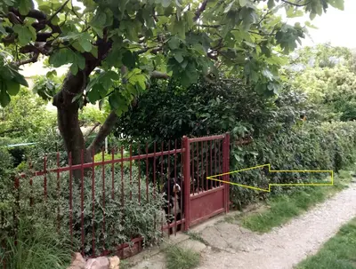 a red gate with a tree behind it at Мрія in Sutomore