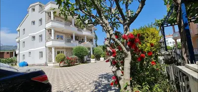 a white house with a tree in front of it at OliveGarten Apartments in Ulcinj