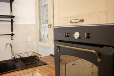 a black oven in a kitchen with a sink at SOHO CITY Grunevs apartments 2 in Bar