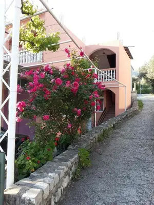a building with pink flowers on the side of it at Vila Marina in Buljarica