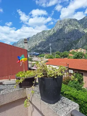 two plants on a balcony with mountains in the background at Nina Apartment in Škaljari