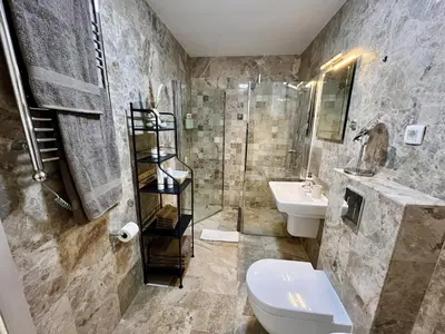 a bathroom with a shower and a toilet and a sink at Salt & Stone Apartment in Sveti Stefan