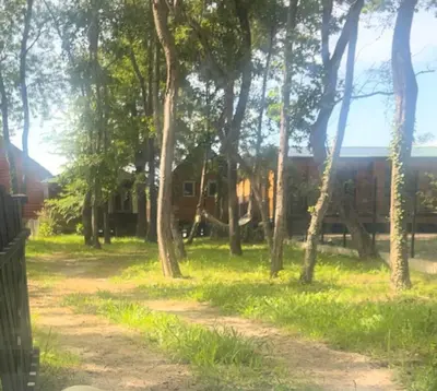 a dirt road in front of a group of trees at Suncica Ada Bojana in Ada