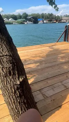 a tree on a wooden deck with a body of water at Suncica Ada Bojana in Ada