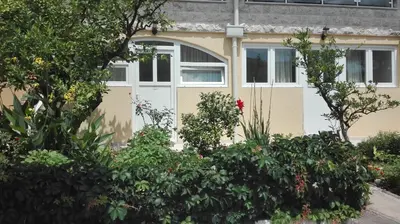 a house with a white door and some bushes at Kotor Kelly Apartments in Kotor