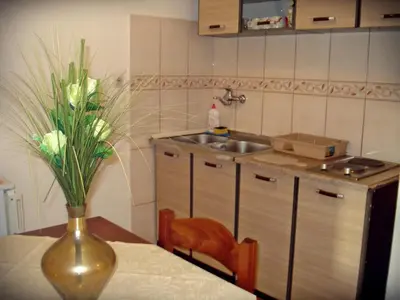 a vase of flowers sitting on a table in a kitchen at Kotor Kelly Apartments in Kotor