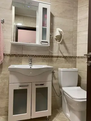 a bathroom with a sink and a toilet and a mirror at Aria Apartman 1 Ulcinj in Ulcinj