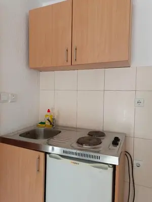 a kitchen with a stove and a sink at Kolovic Susanj in Bar
