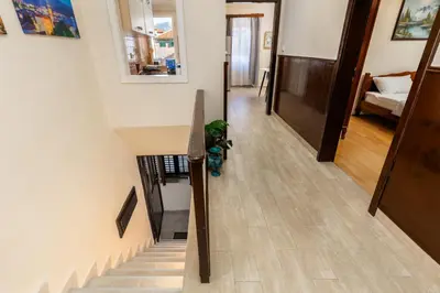 a hallway with a staircase with a plant on the floor at Apartment NICO in Kotor
