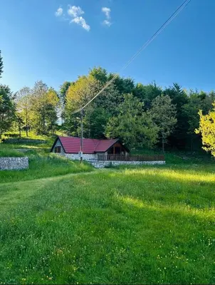 a house in the middle of a grassy field at Montenegro Rustic House II in Bjeloši