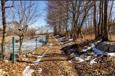 a path in the woods with snow and trees at Montenegro Rustic House II in Bjeloši