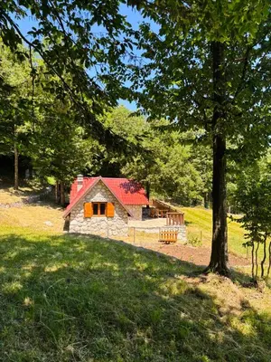 a stone house with a red roof in a field at Montenegro Rustic House II in Bjeloši