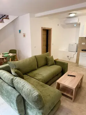 a living room with a green couch and a table at Apartman Kaprize in Budva
