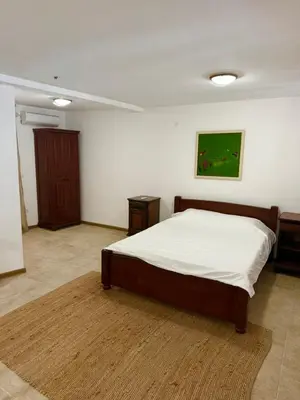 a bedroom with a bed and a painting on the wall at Apartman Kaprize in Budva