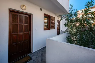 a door of a house with a plant at Bozovic Apartmani in Budva