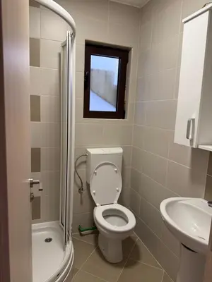 a bathroom with a toilet and a sink at Bozovic Apartmani in Budva