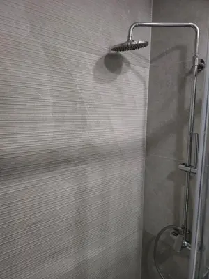 a shower with a glass door in a bathroom at Central Point apartment in Podgorica