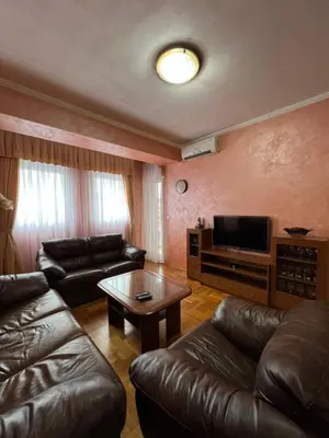 a living room with a leather couch and a television at Apartman Marina in Podgorica