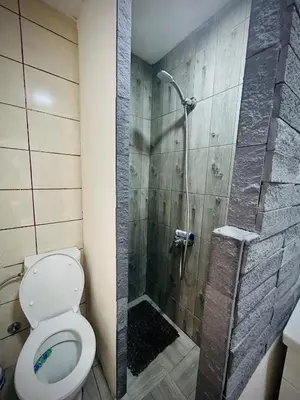 a bathroom with a shower with a toilet and a shower at Svetli dom in Sutomore