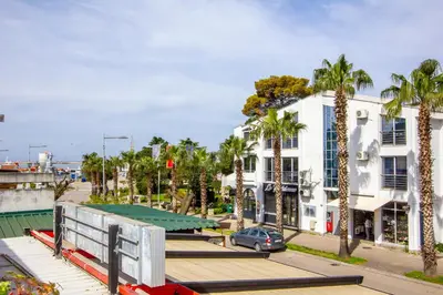 a building with palm trees next to a street at Studio Mimi City Center Bar in Bar