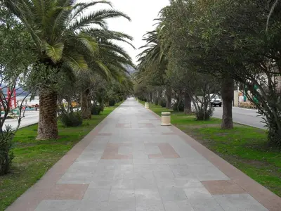 a sidewalk lined with palm trees on a street at Sara in Bar